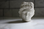 The Iron Victorian Signature Bust Mug